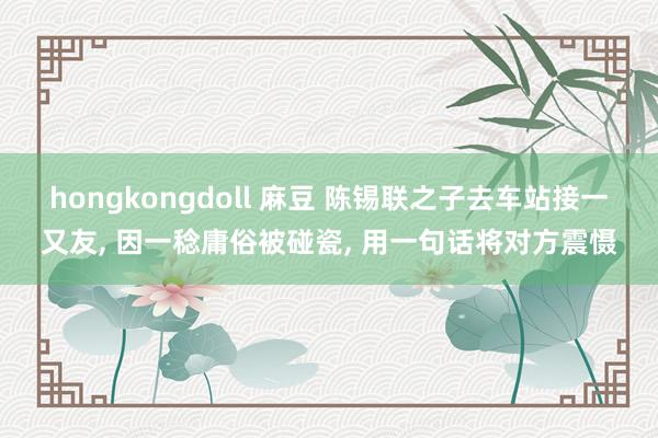 hongkongdoll 麻豆 陈锡联之子去车站接一又友， 因一稔庸俗被碰瓷， 用一句话将对方震慑